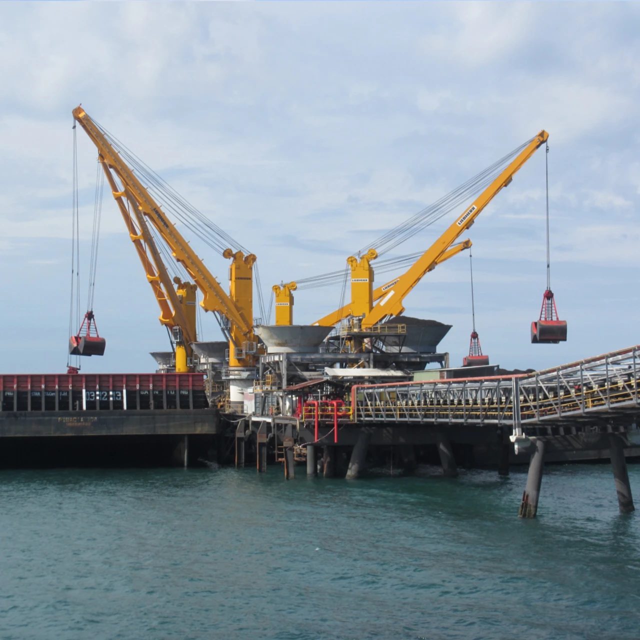 Liebherr Maritime FCC 310