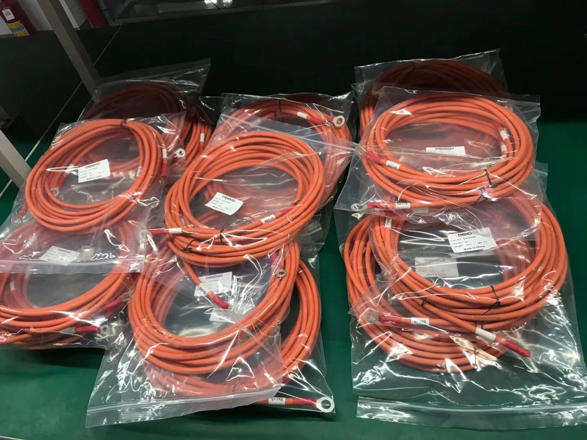 Anhui Tiankang (Group) Shares DWZR-CKEE80/DA-X105 250 V