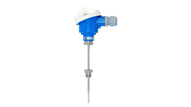Endress+Hauser RTD Thermometer TST40N