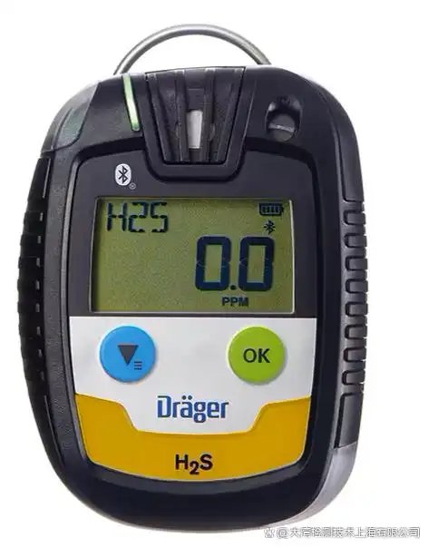 RKI Instruments GW-3-H2S