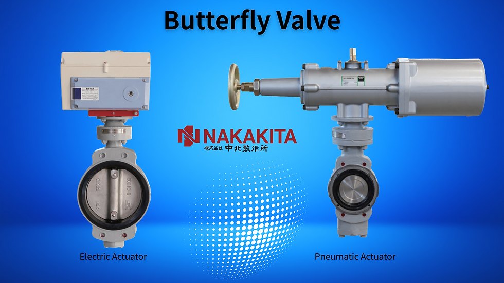 Nakakita Seisakusho Marine Butterfly / Gate Valve