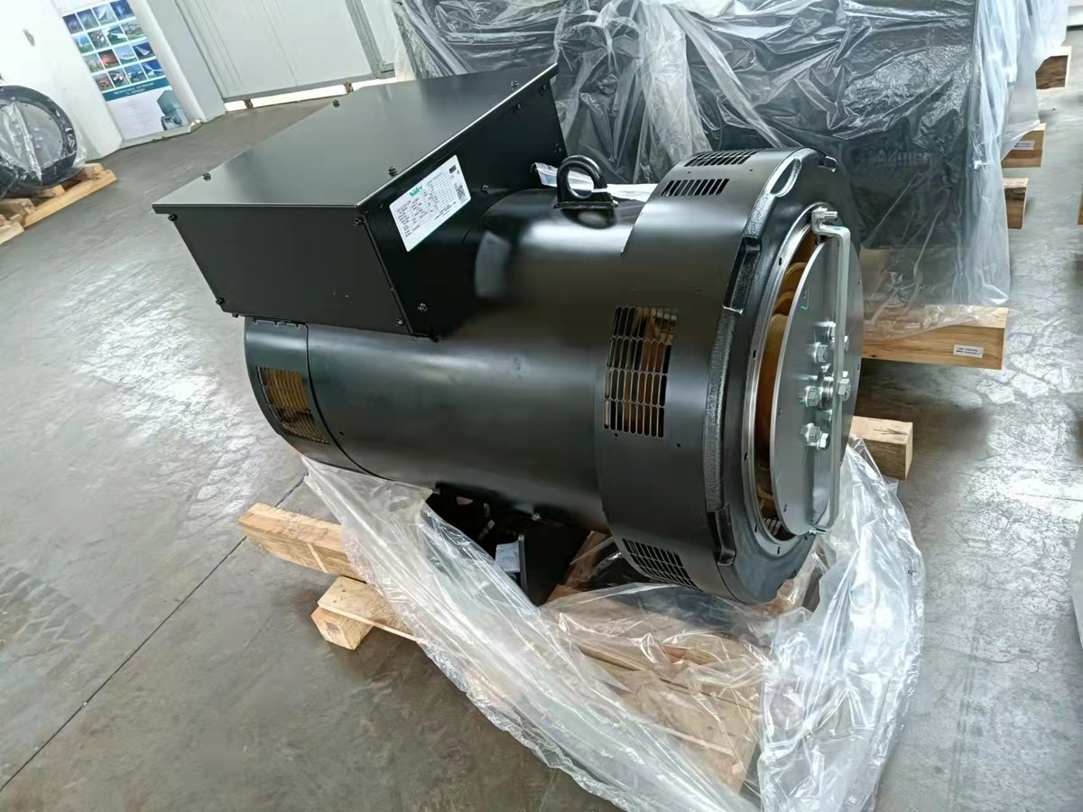 Leroy-Somer LSES 200 LR IFT