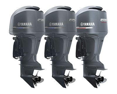 Yamaha Motor TYMXM4.172GB