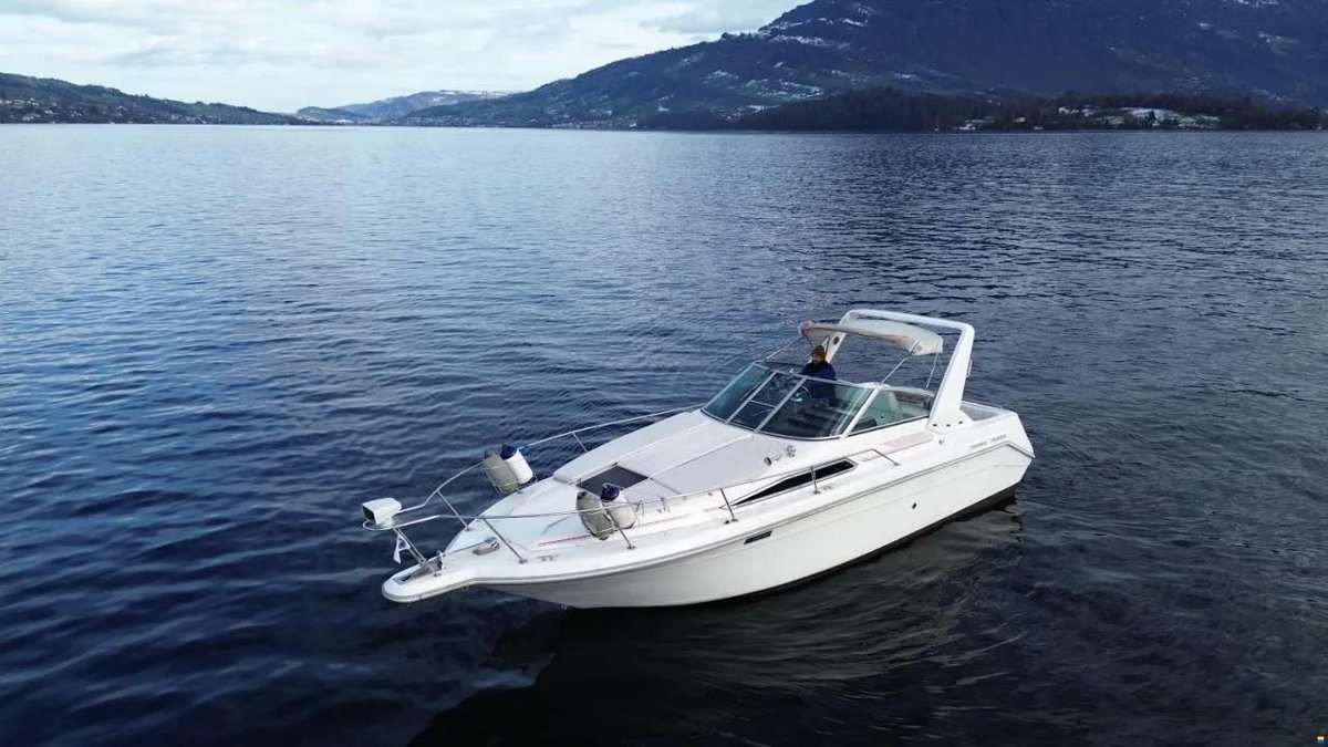 Marine - Care Sea Ray 270 DA