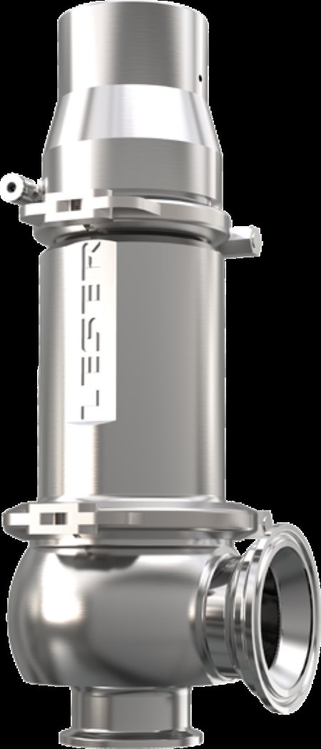 LESER Type 483 | LESER - The Safety Valve