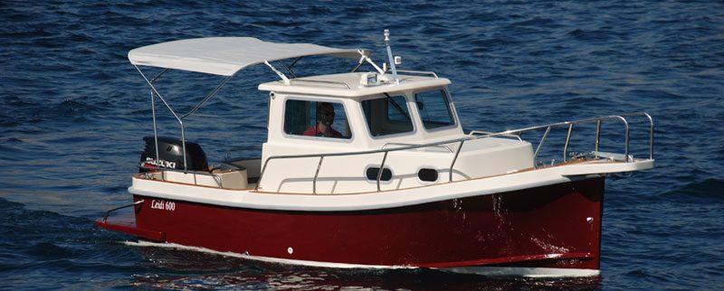 LEIDI 600