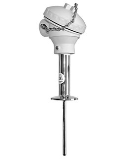 Endress+Hauser U.S. Style RTD-Assembly TH17