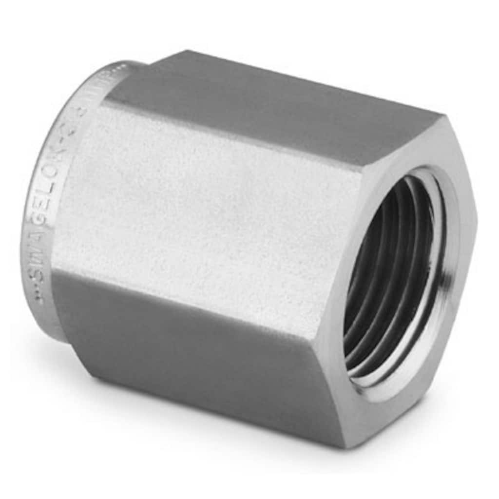 Swagelok Stainless Steel Pipe Fitting, Pipe Cap, 1/8 in. Female NPT