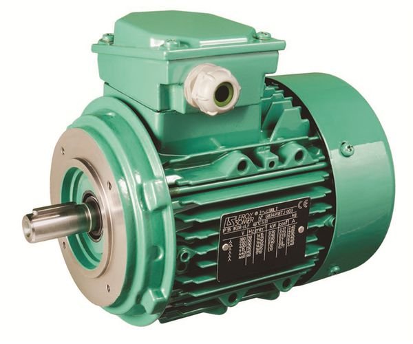 Leroy-Somer LS 112M