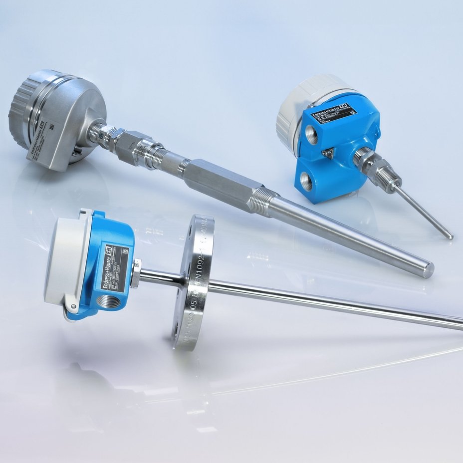 Endress+Hauser NaI (Tl) 8"