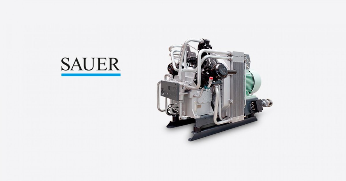 Sauer Compressors Haug SOGI Series (Oil-Free)