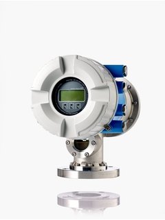 Endress+Hauser NMS8x