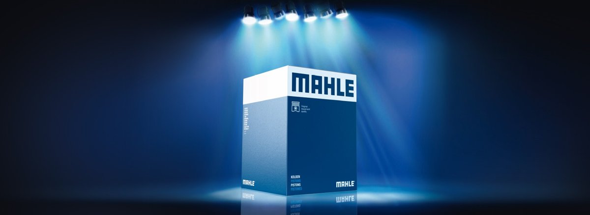 MAHLE NFV PPT - BWS 2500