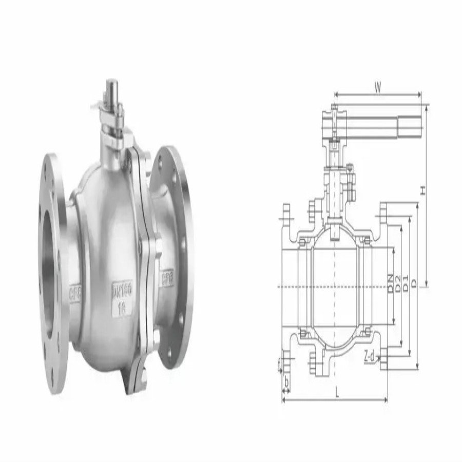 Emerson DN 250 - 600 (NPS 10 - 24)