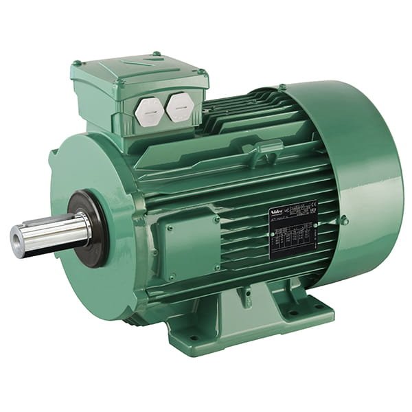 Leroy-Somer LSES 100 LR FFB 2