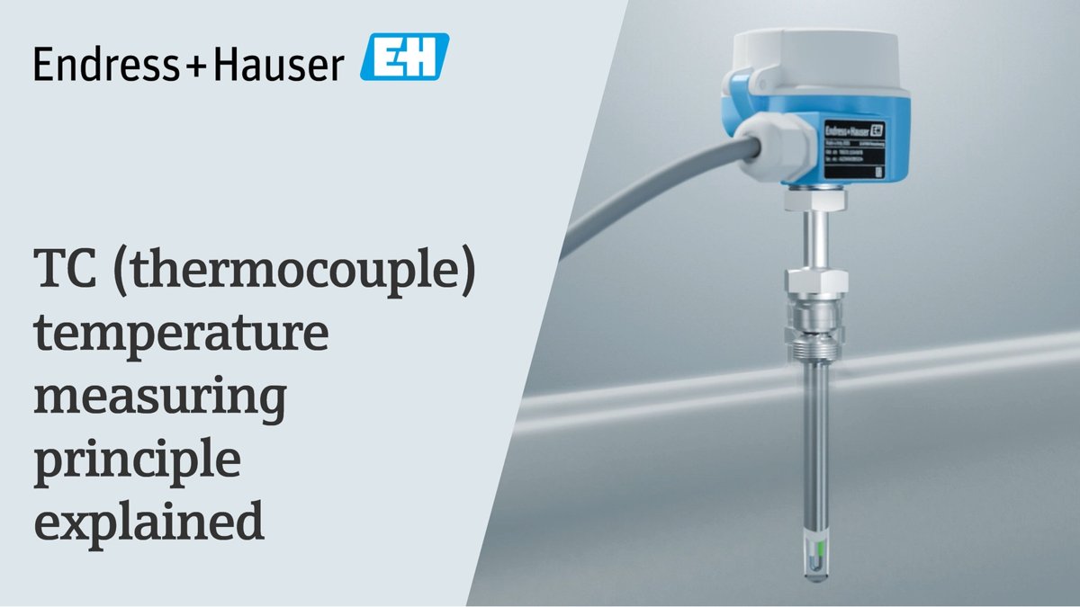Endress+Hauser Thermocouple TC66