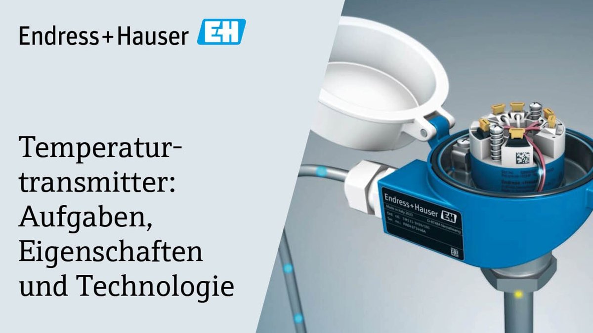 Endress+Hauser Flüssig-temp man/Lufttemp.Quelle