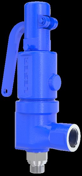 LESER Type 460 | LESER - The Safety Valve