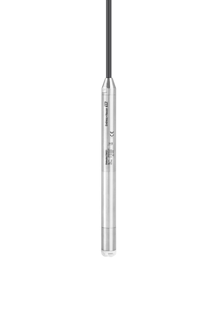 Endress+Hauser FMX21 with Pt100-optional