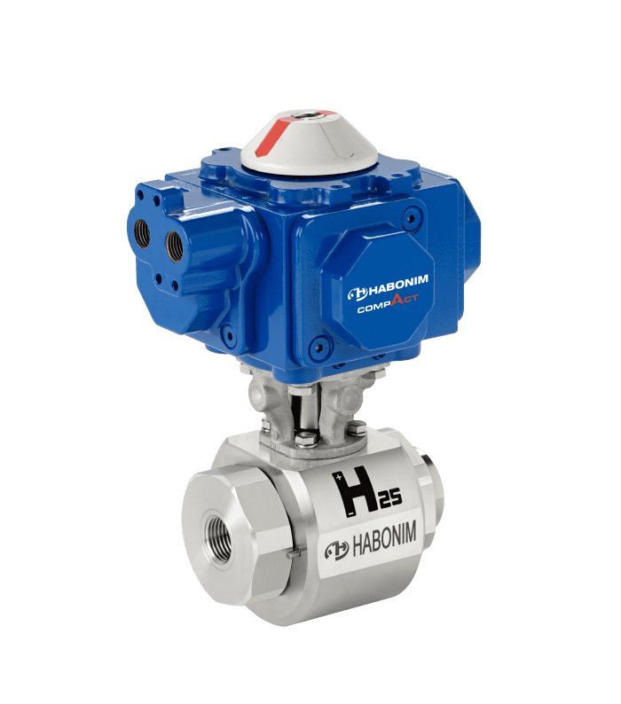 Habonim Special Use Ammonia Service Valves