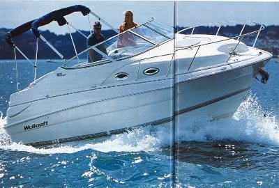Marine - Care Wellcraft 2400 Martinique