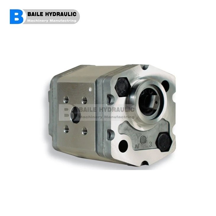 Marzocchi Pompe K1P Series