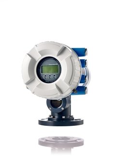Endress+Hauser 28 m (D1) (NMS80