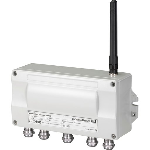 Endress+Hauser WirelessHART Fieldgate SWG70