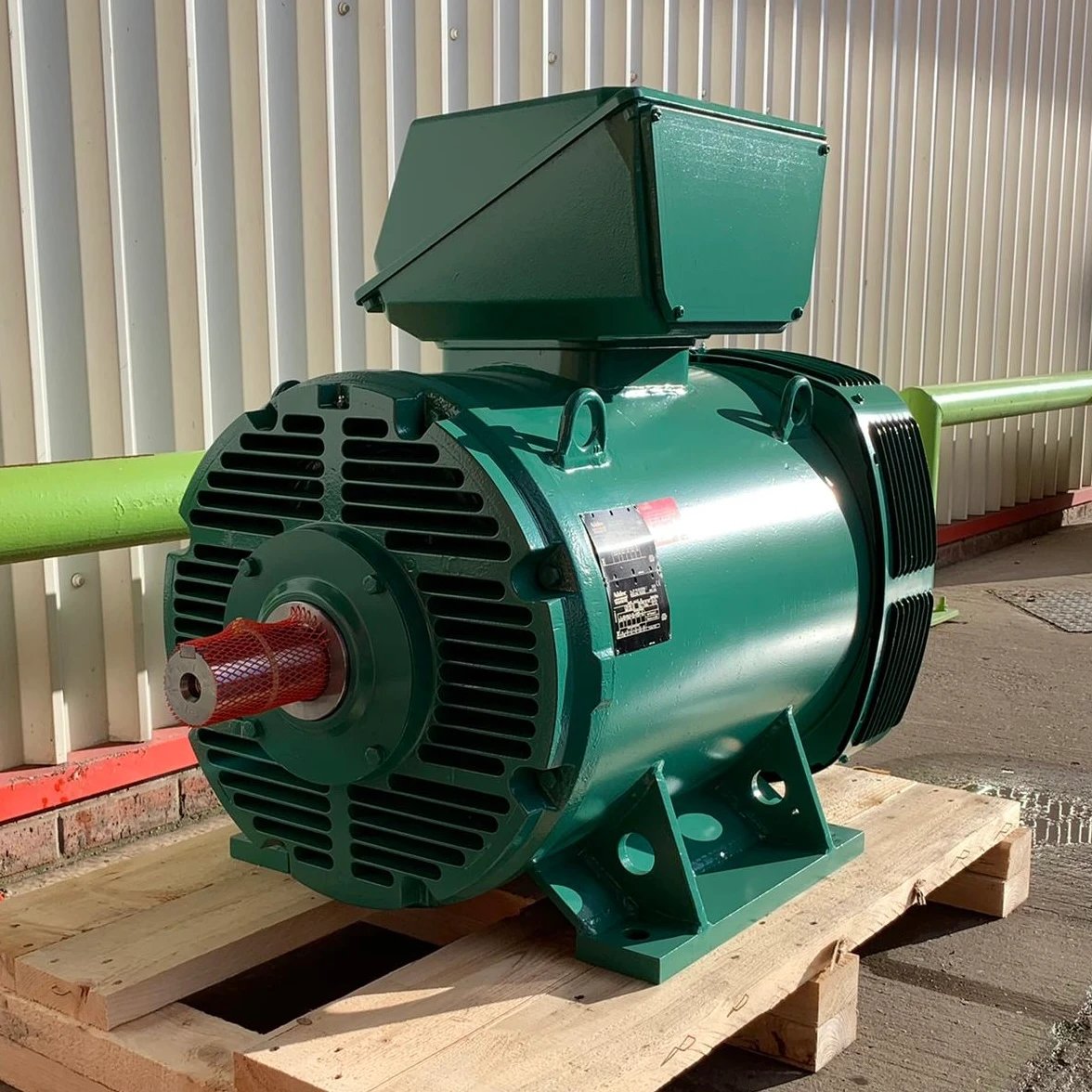 Leroy-Somer LSES 315 SP IFT