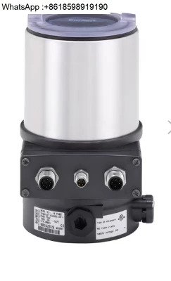 Emerson D301295X012