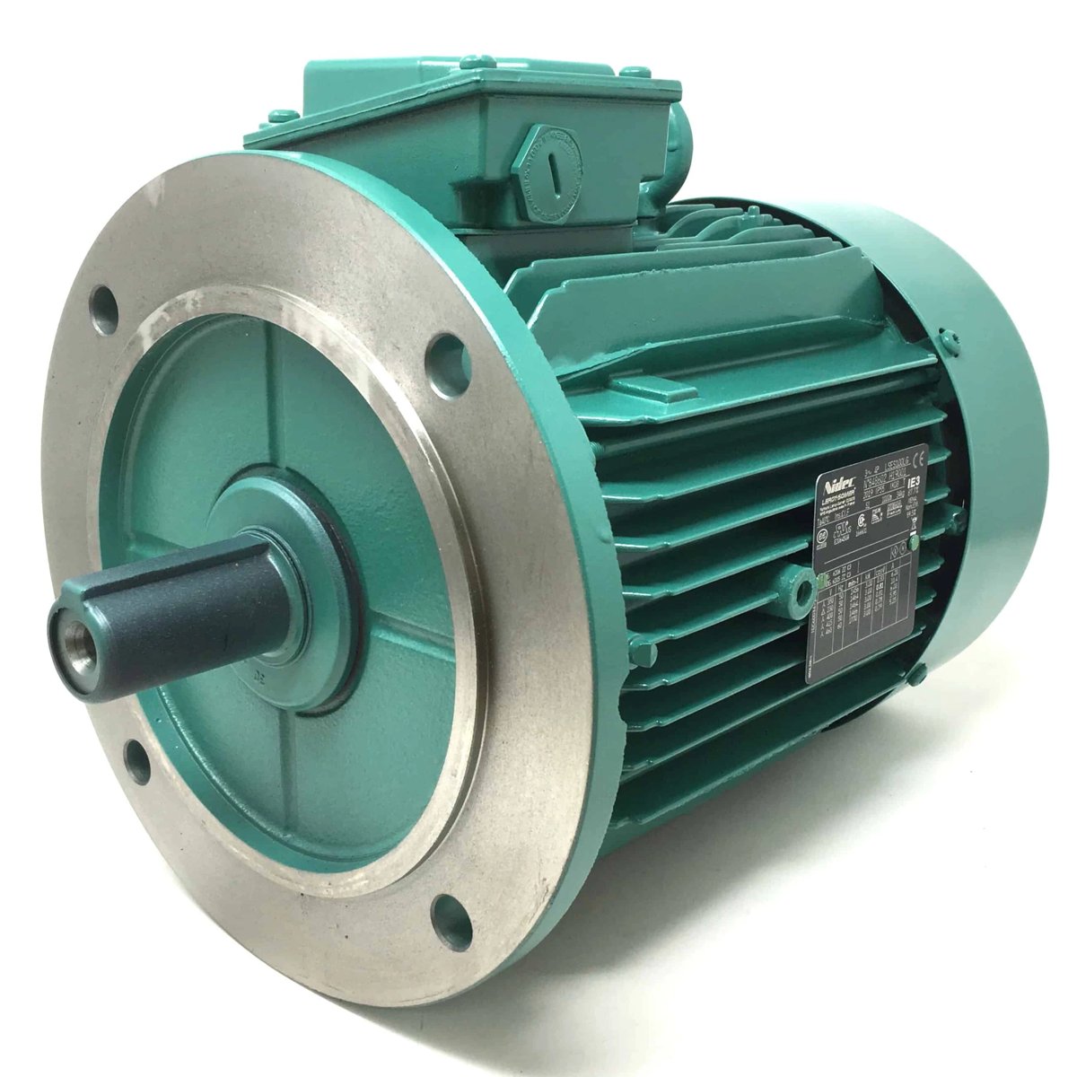 Leroy-Somer LSES 100 LG FFB3 IFT/IE3 FFB