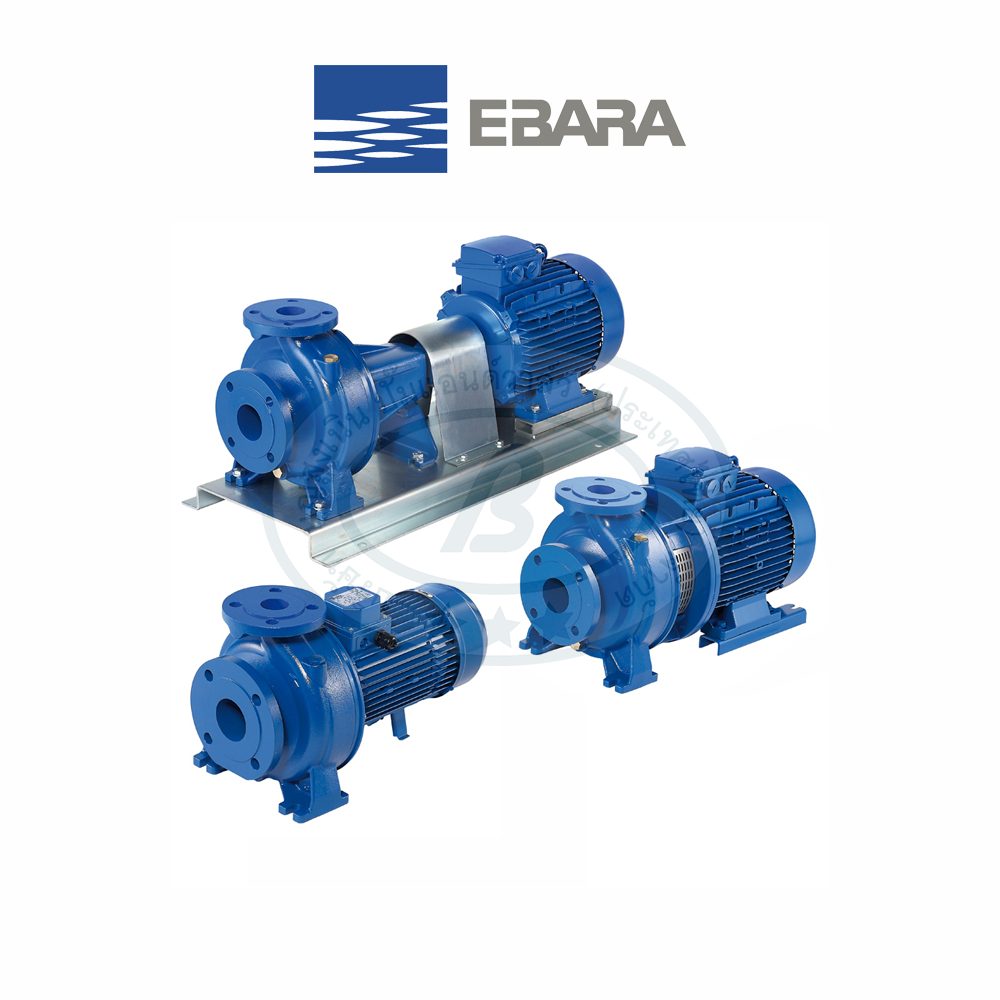 Ebara 3M / 3D Serie