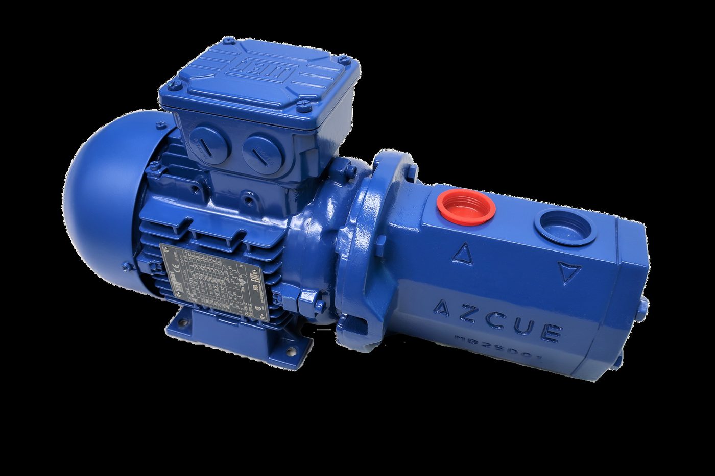Azcue Pumps CA