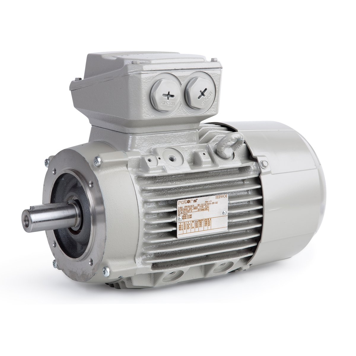 Rotor 6RN132S02E41 2-pole