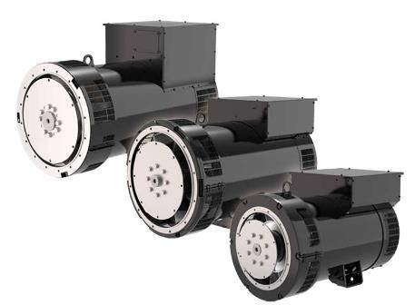 Leroy-Somer PMG 8-LSA 49.3
