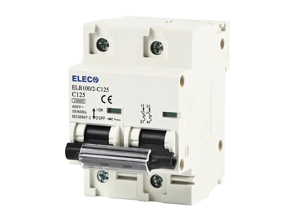 Fuji Electric BCL100□0R -2P□□□◆ -4P□□□◆
