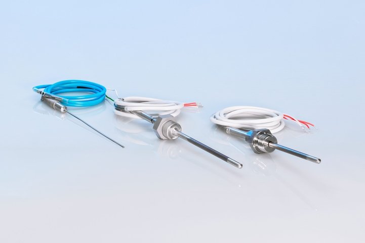 Endress+Hauser Probe ⌀22 mm (0.87 in) including insulation
