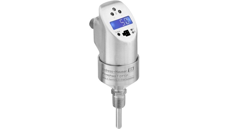Endress+Hauser Flowphant T DTT31