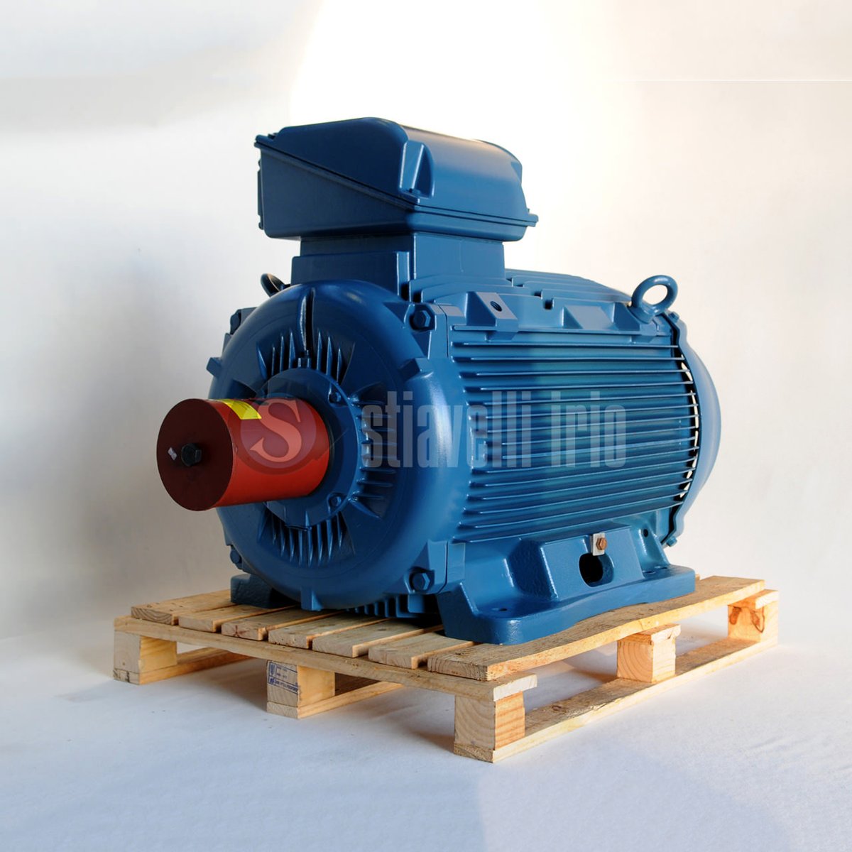 WEG Marine 6RN250M06E32 6-pole
