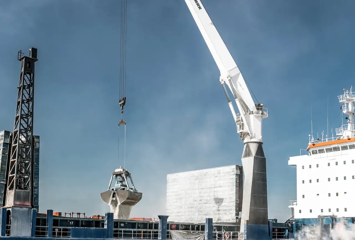 Liebherr Maritime Cranes LS-C 100