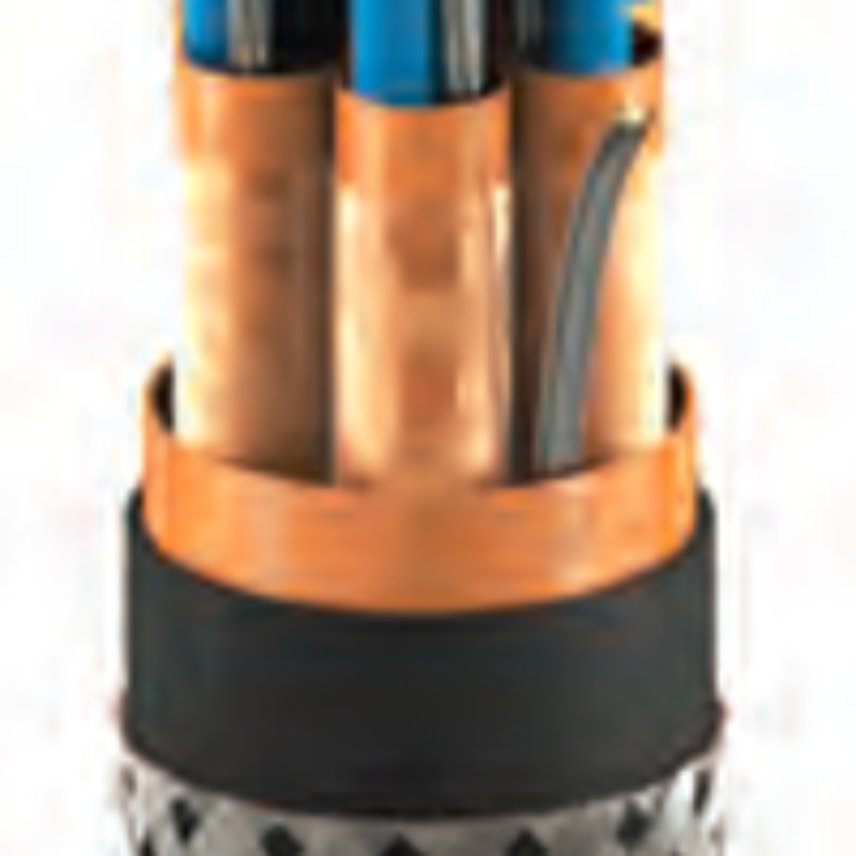 Baosheng Science & Technology Innovation S101 RFOU(i) 250 V, S101 RFOU(i) M 250 V, S102 RFOU(c) 250 V, S102 RFOU(c) M 250 V