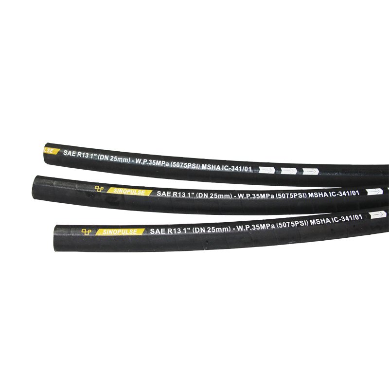 DISTRIBUIDORA INTERNACIONAL CARMEN, S.A.U. SAE 100 R1AT