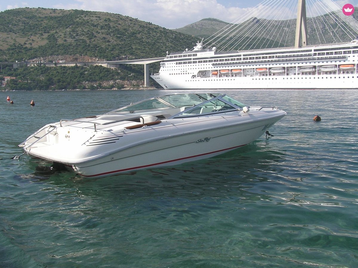 Marine - Care Sea Ray 180 BR