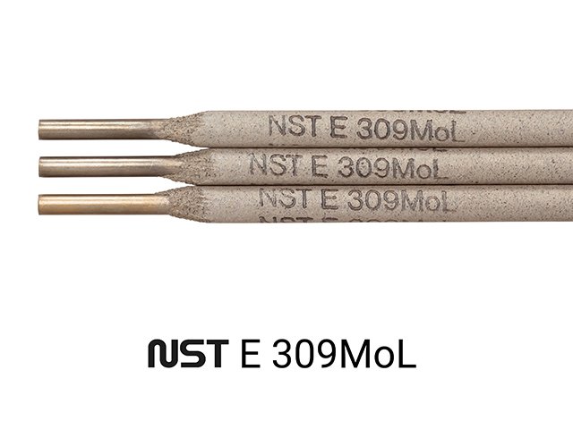 Norsk Sveiseteknikk NST A-309MoL / M21