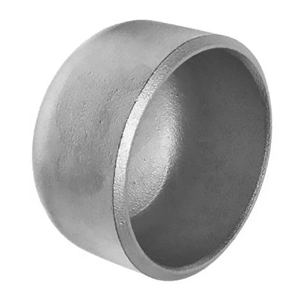 SCI 3163 Cap