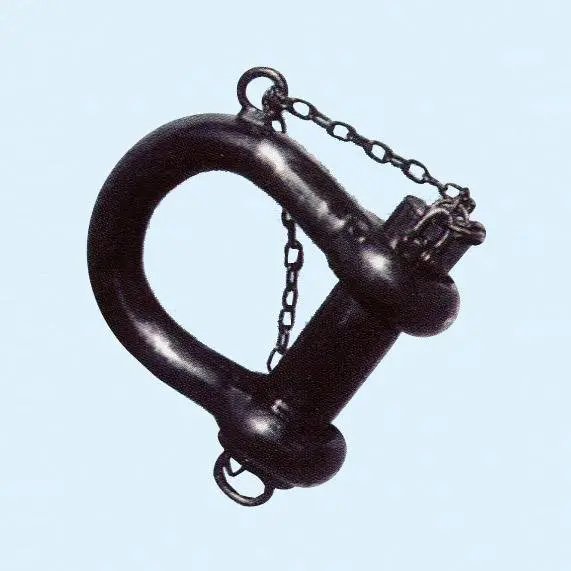 Jiangsu Asian Star Anchor Chain Rope shackle D type with Thimble