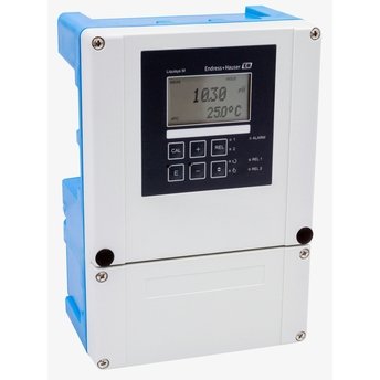 Endress+Hauser Ceratex CPS31
