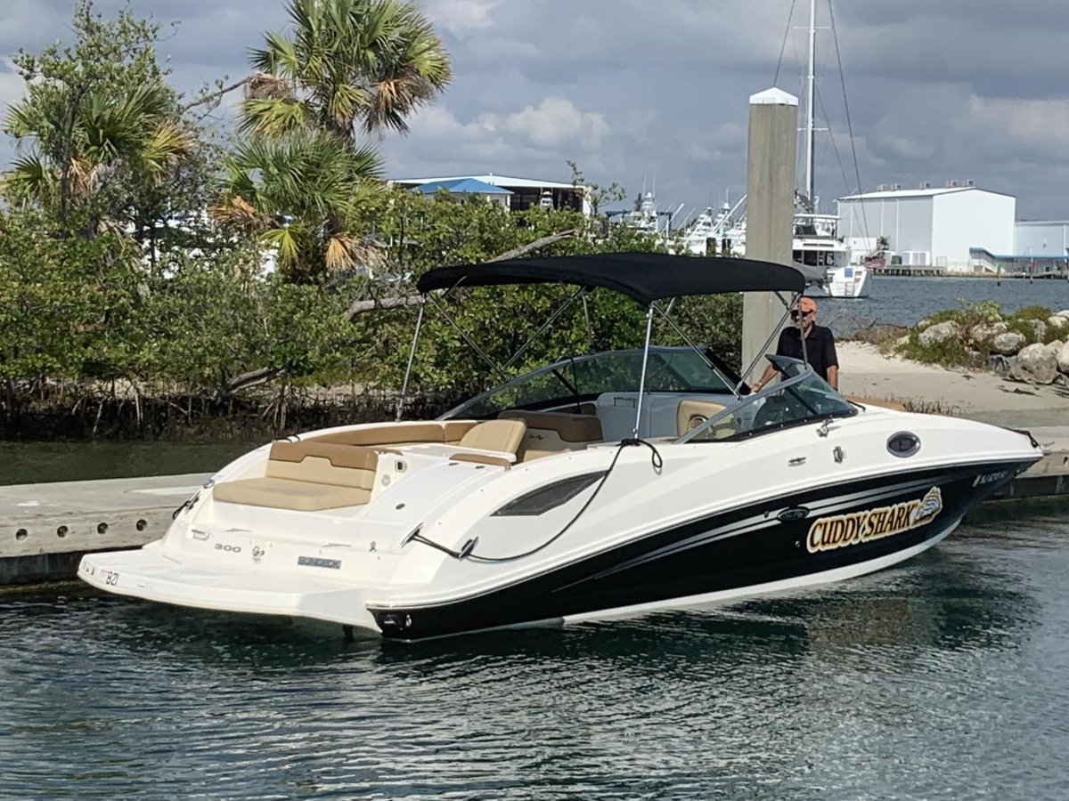 Marine - Care Sea Ray 300 DA