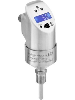 Endress+Hauser Wetzer Flowphant T DTT31