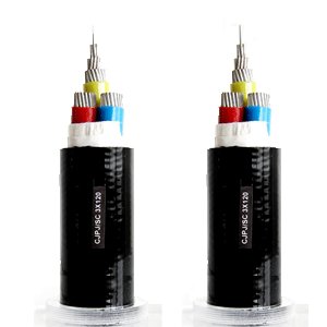 Jiangsu Zhongmei Cable CJPJ/SC